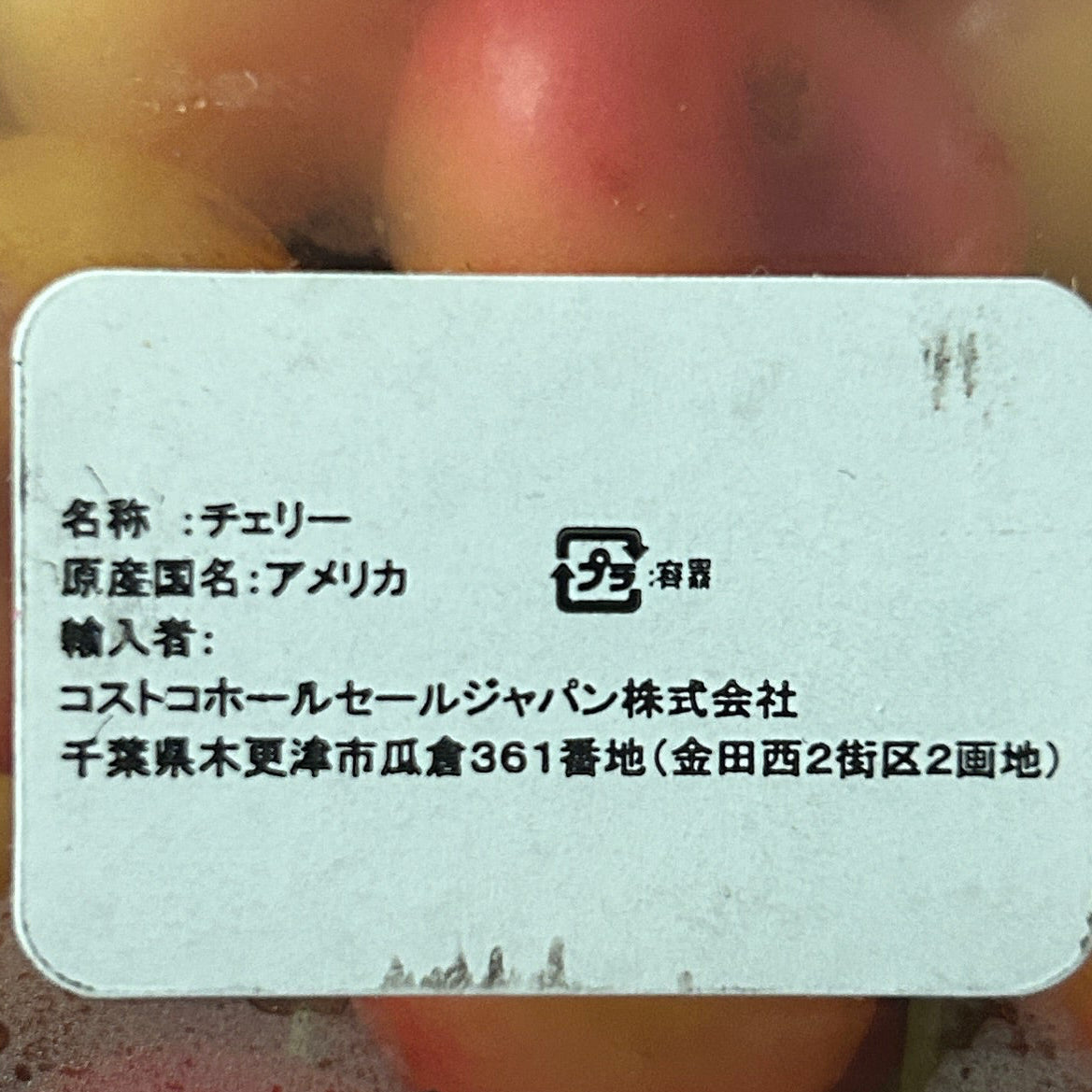 <Limited Season> Rainer Cherry